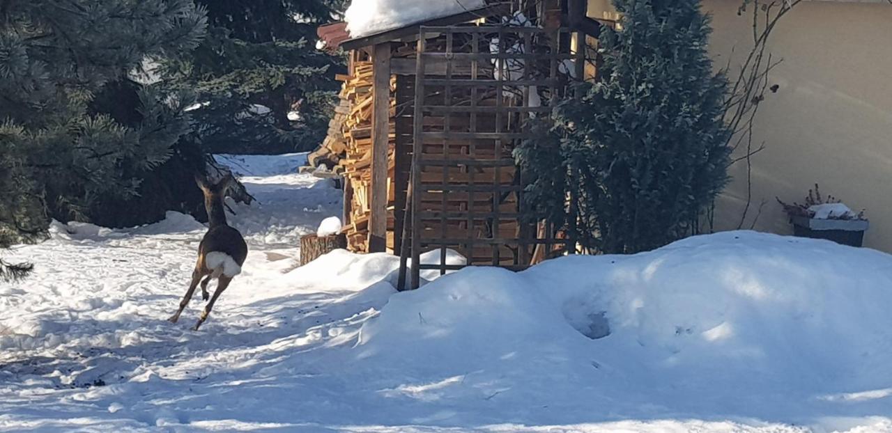Dom Grabowa Z Sauna I Podgrzewanym Basenem Gilowice  Exterior foto